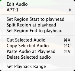 Edit Audio Menu with Process